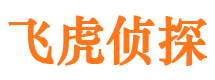 利津市私家侦探